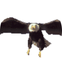 [[MEÇHUL]]