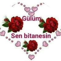 ELİF